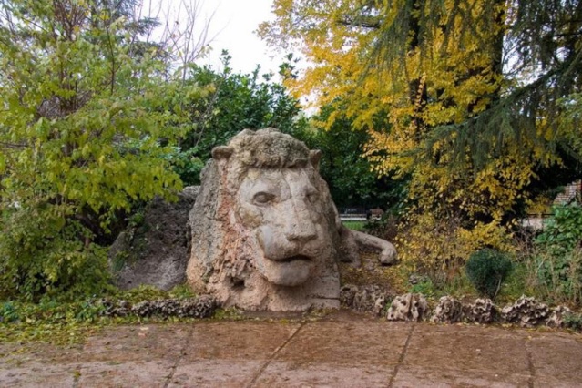 LE LION D'IFRANE Lion11