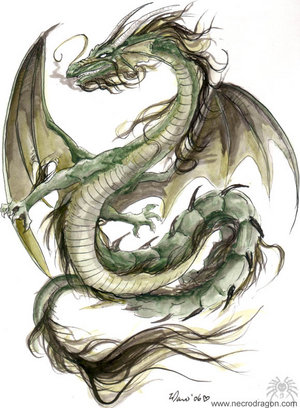 Dragons Verts Green_10