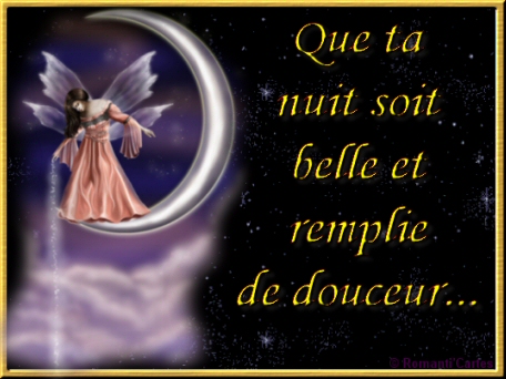 bonzour bonne zournée et bonne nuit notre ti nid za nous - Page 21 Nuit0110