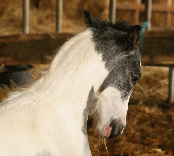 Encore un Miracle au Domaine du Vallon....PHOTOS P2 Img_7216