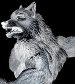 Dark_Wolf _werew10