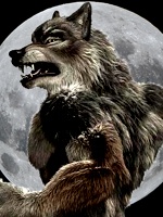 Dark_Wolf Werewo10