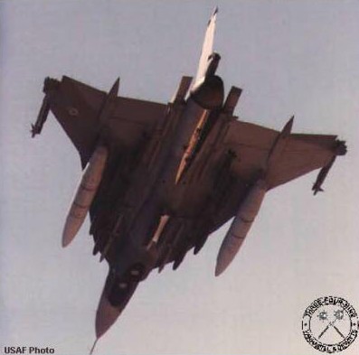 [Monogram] F-16 XL F16xlp10
