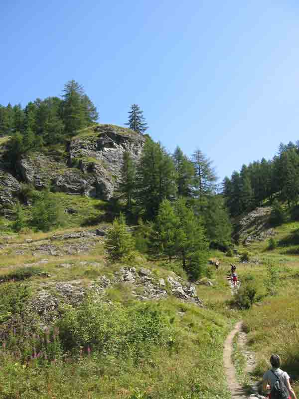 Petite balade - Le Monal (Sainte-Foy) Img_0010