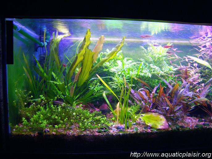 mon aqua living - Page 7 100_2812