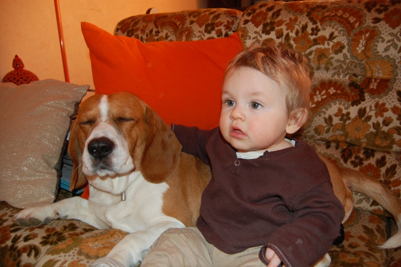 le beagle et les enfants... Dsc_0010