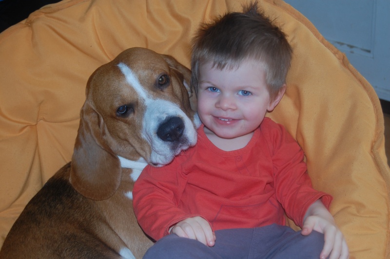 le beagle et les enfants... Dsc_0011