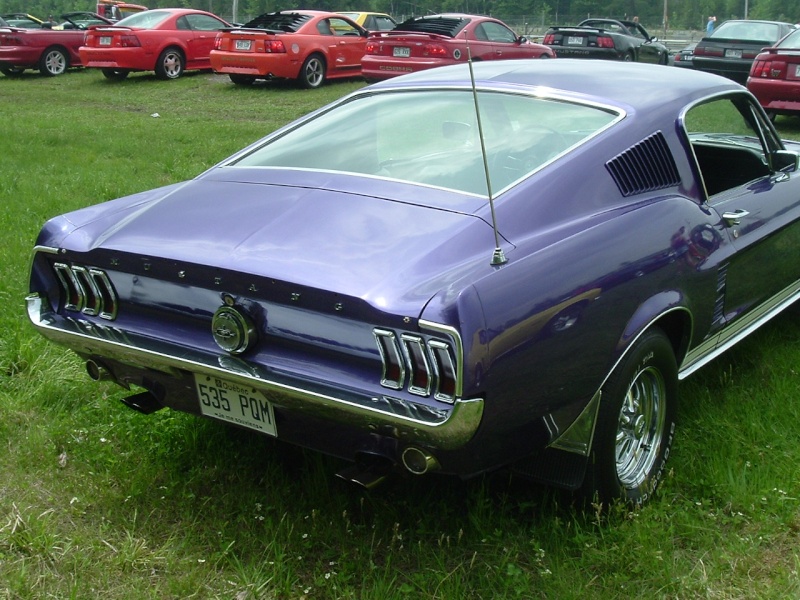 mustang - Les Mustang dans les expos du Québec (67 & 68) Photo_46