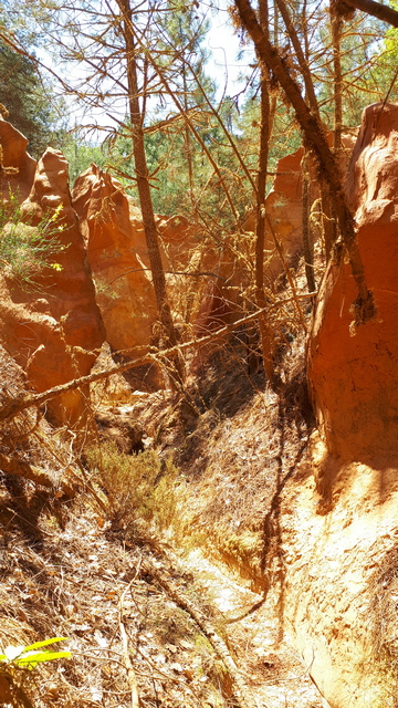 superbe rando sauvage au calme et ensoleillée mais à l'ombre des arbres!  20190620