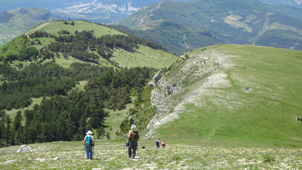 des paysages plein les yeux! superbes alpages.. Chamou33