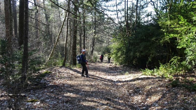 par très beau temps  Siverg23