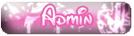 Admin Admin