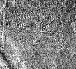 Les lignes de Nazca au Pérou Araign10