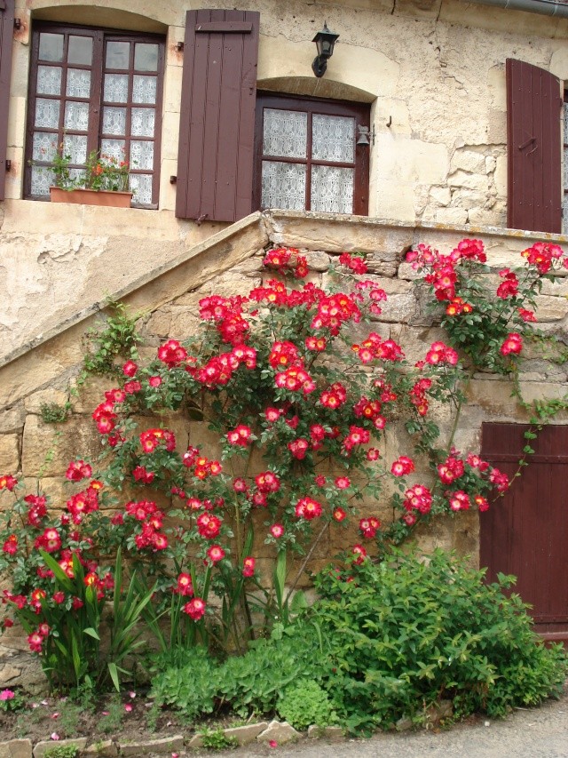 Apremont sur Allier , fête des plantes Apremo38