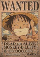 Personnage le plus classe - Page 2 Luffy10