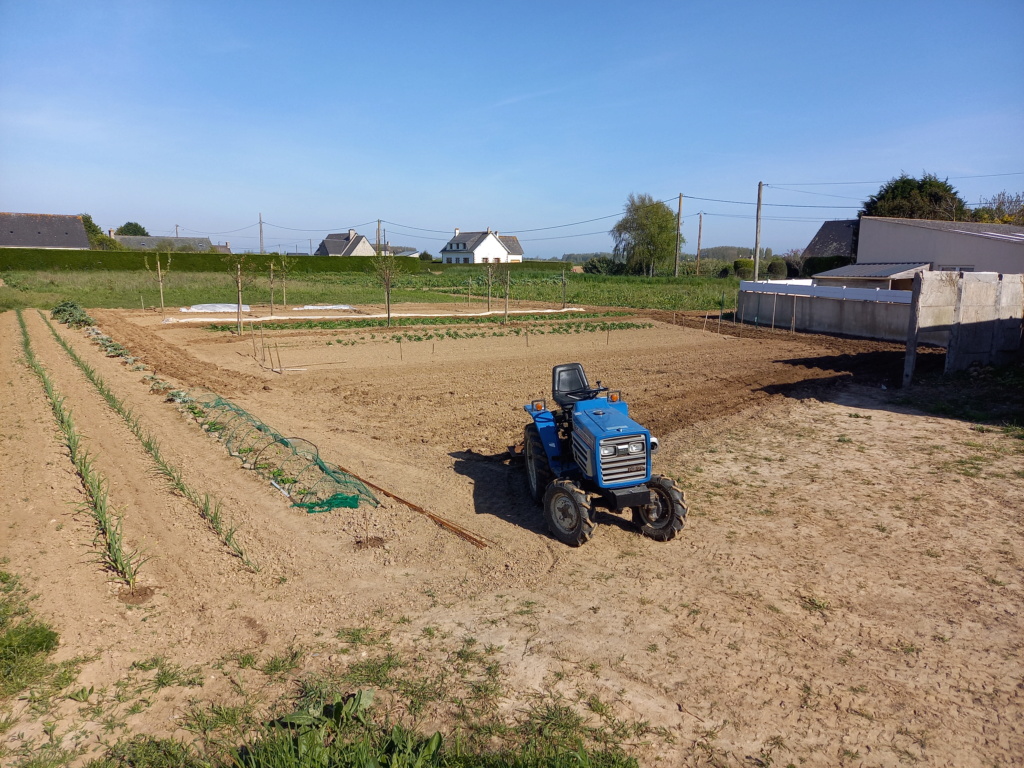 Nouveau verger à créer avec un petit coin potager - Page 4 20230511