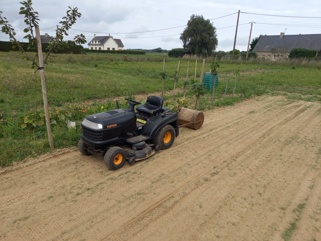 Nouveau verger à créer avec un petit coin potager - Page 5 20230917