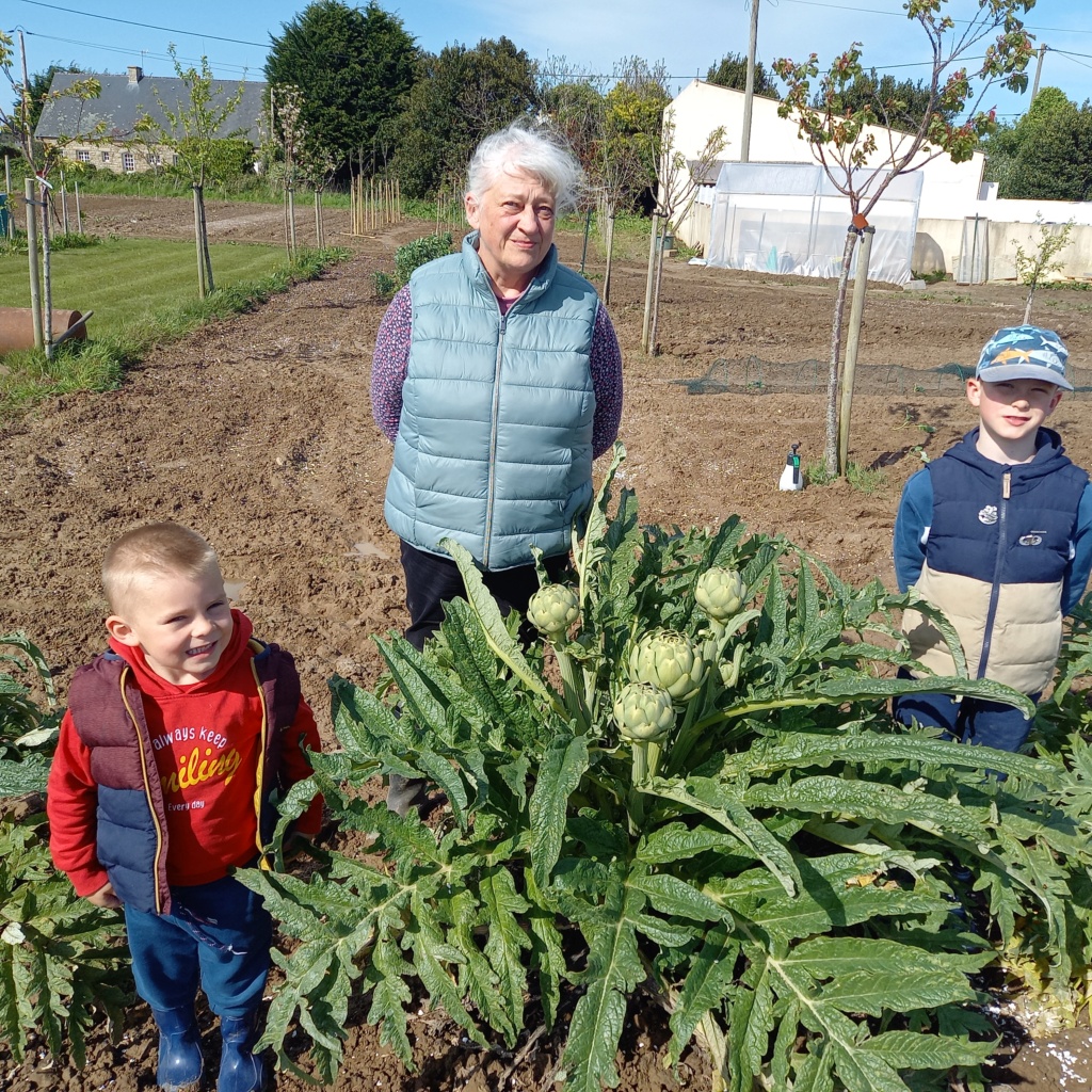 Nouveau verger à créer avec un petit coin potager - Page 8 20240437