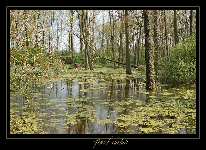 Reportage photos de la faune française Photo_15