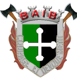 L'Histoire de la Brigade Anti-Incendie de Bourg (BAIB) Baibbl10