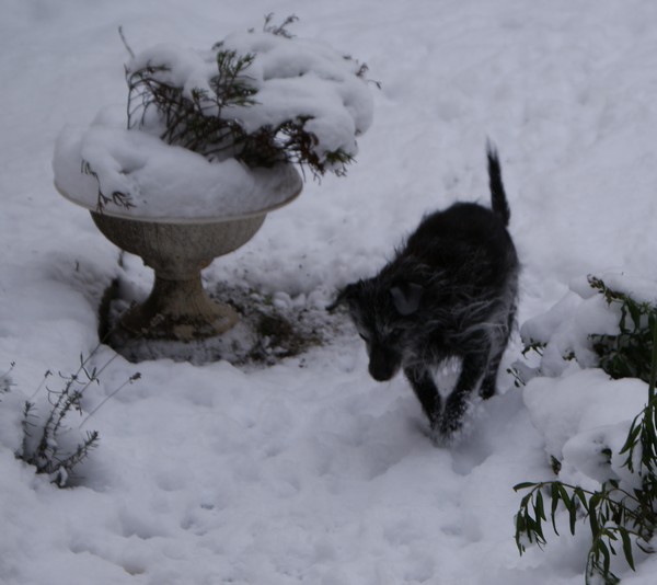 Après-midi chez Mamie (19 décembre 2009) Vieux-10