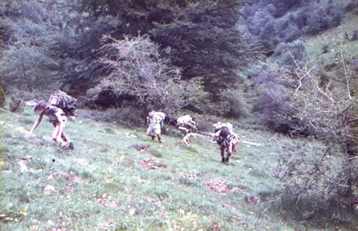 Camp de survie - Pyrénée 1984 1984-410