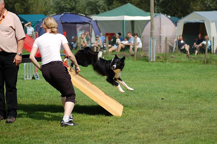 Hond en Gezel Dsc_0040