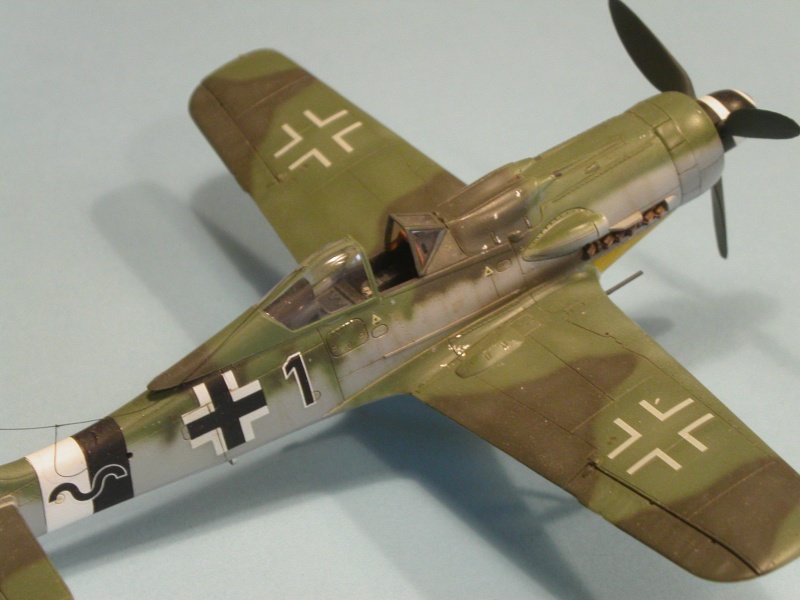Focke-Wulf FW-190D Tamiya 1/72 Pict0710