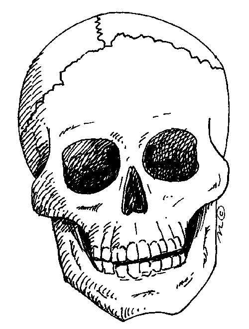 Noueau skin Skull10