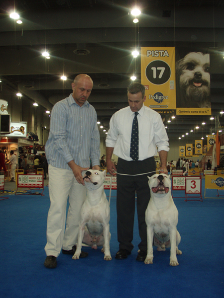Panamerican and World Dog Show results P5250410