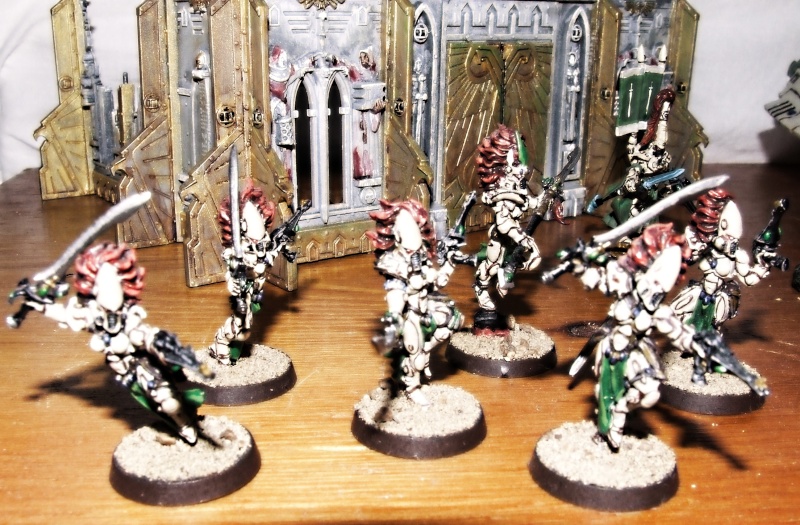 Mon armée Eldar 1500 points Dscf1811