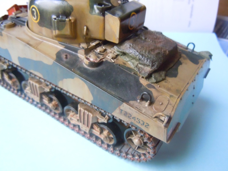 [1/35] Sherman Mk III kiwi - Page 2 Dscn3312