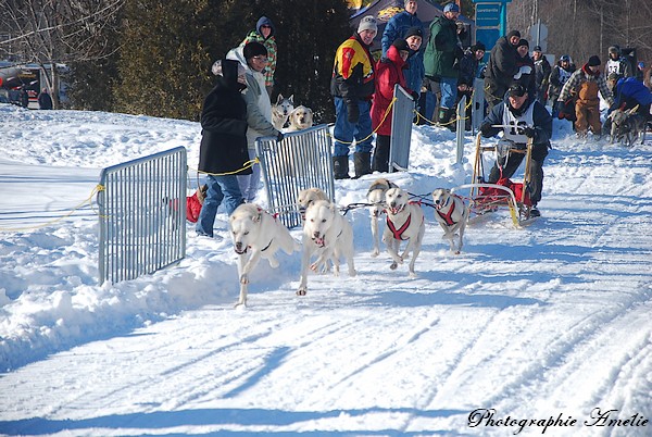 Mes photos de la course de traineau a chien Les_ch73