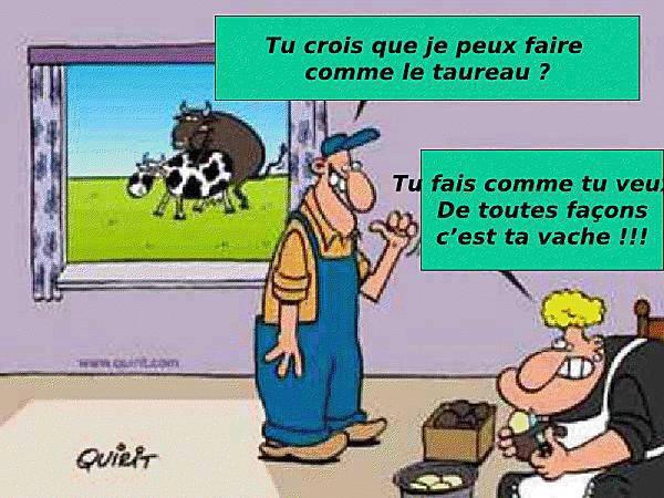 humour - Page 40 Image011