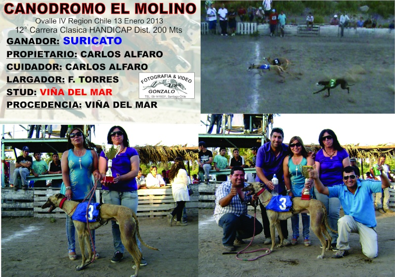 13 DE ENERO 2013, GRANDES CLASICOS CANODROMO EL MOLINO-OVALLE - Página 2 10_cla10