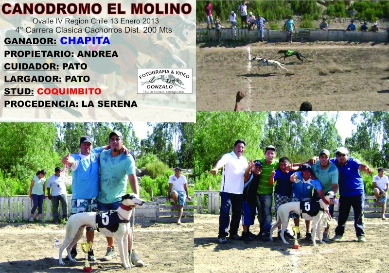 13 DE ENERO 2013, GRANDES CLASICOS CANODROMO EL MOLINO-OVALLE - Página 2 4_clas10