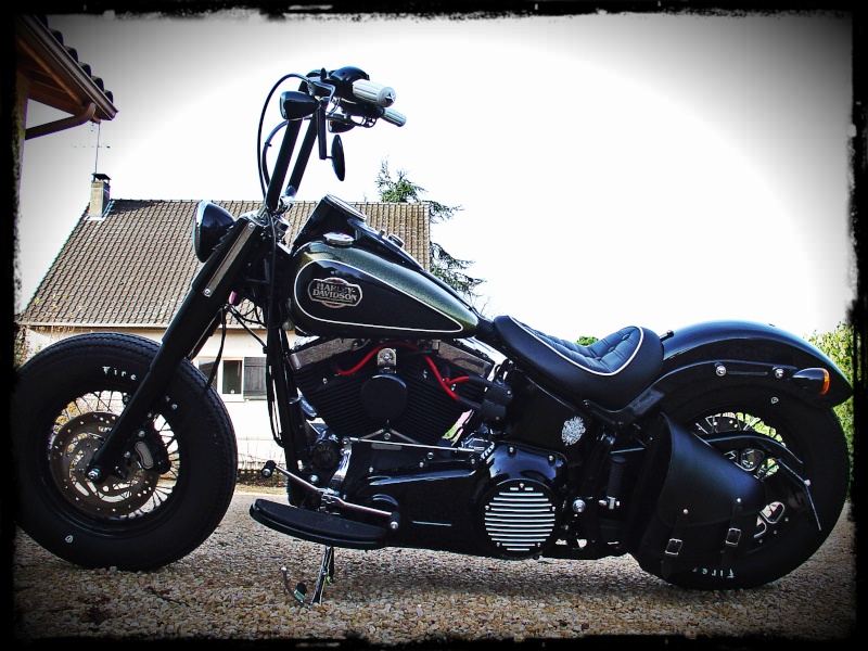 SOFTAIL SLIM... les accros de la Slim attitude !! - Page 33 Vue_ga10