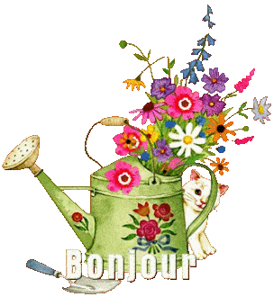 Gif Merci / Bonjour / Hello / Bonsoir / Bienvenue Bonjou11