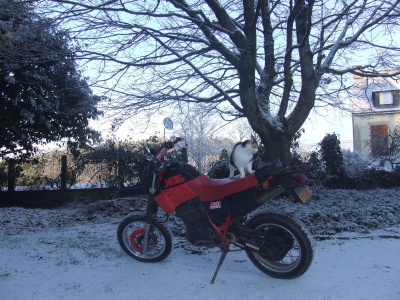 Le concours de Janvier 2010: Votre moto en décor naturel. Dscf7613