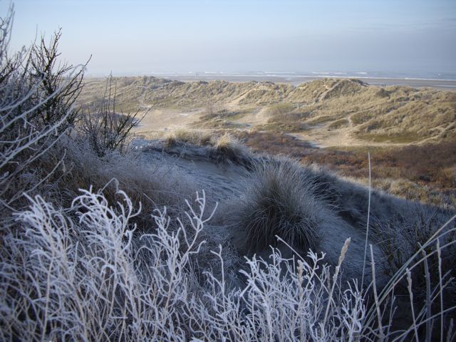 Postez vos meilleures photos (de fin d'année) Dunes_10
