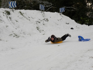 En Bretagne aussi! Nalu dans la neige! N511