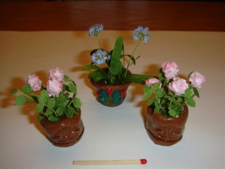 Fleurs miniatures Agapan11