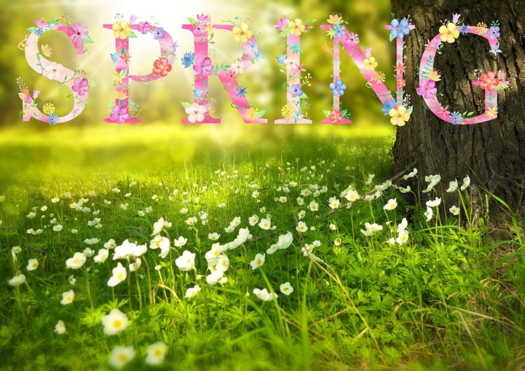 It's Spring  Spring11