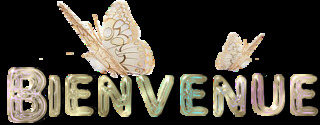 Présentation de TerrEtude 09101817