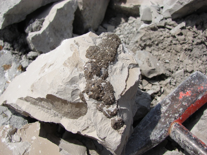 Pyrite & calcopyrite Dsc05615