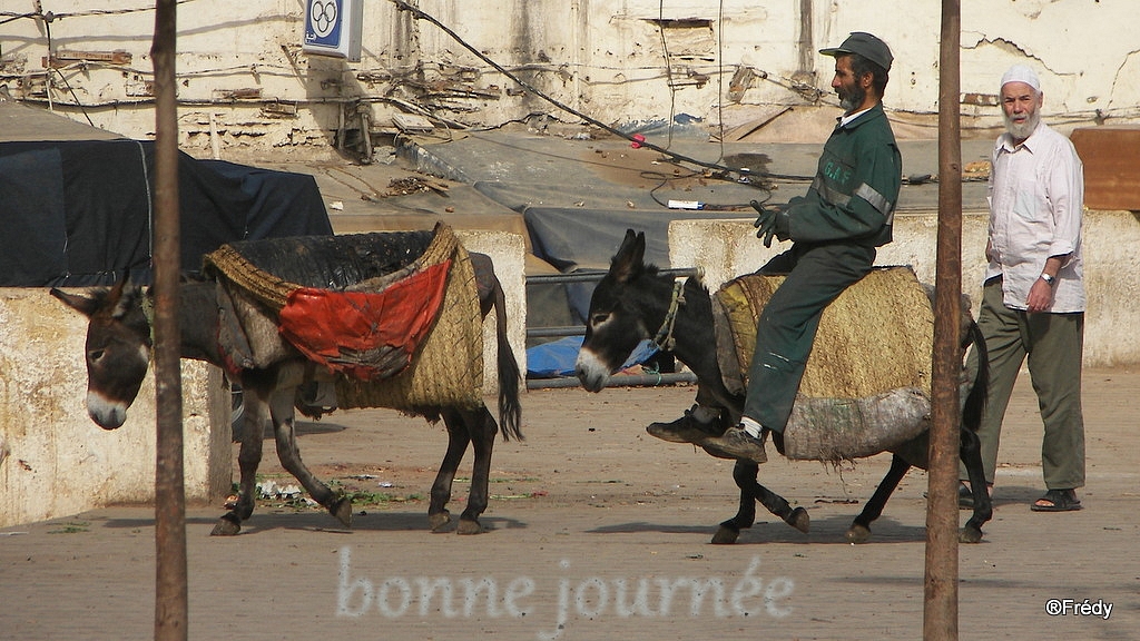 Semaine du 5 au 11 octobre 2020 20061020