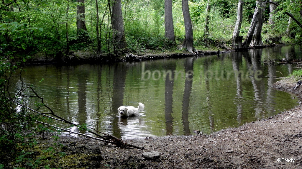 Semaine du 18 au 24 mai : 20130512