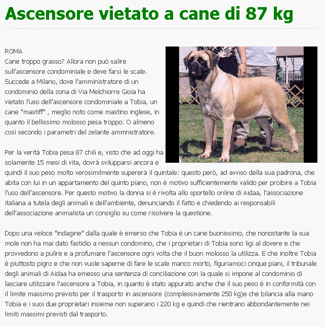 ASCENSORE VIETATO Cane10