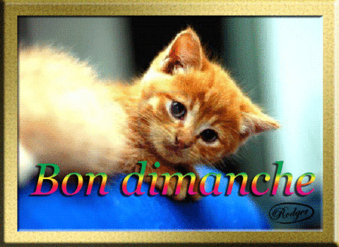 Q Tbn And9gcts1qpl43 Jcxzkdk2cqjijpdkk5gekmciqyw Usqp Cau Q Tbn And9gcts1qpl43 Jcxzkdk2cqjijpdkk5gekmciqyw Usqp Cau