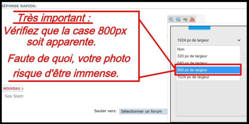 Comment insérer une photo - Page 2 Insere12